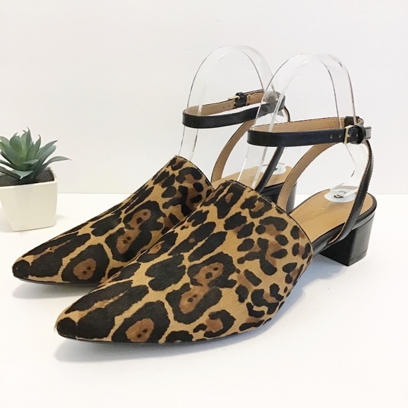 Calvin Klein Shoes - New! Calvin Klein Ginetta Ankle Strap Heels 9